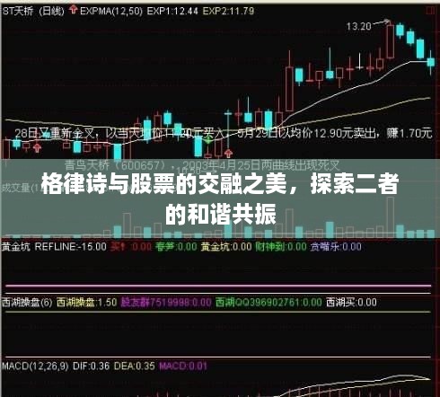 格律詩與股票的交融之美，探索二者的和諧共振