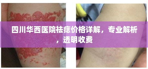 2025年1月 第378頁(yè)