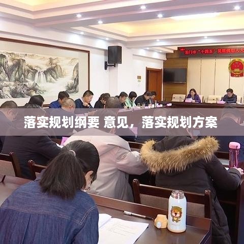 落實規(guī)劃綱要 意見，落實規(guī)劃方案 