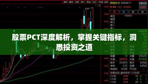 股票PCT深度解析，掌握關(guān)鍵指標(biāo)，洞悉投資之道