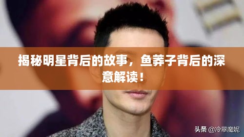 揭秘明星背后的故事，魚莽子背后的深意解讀！