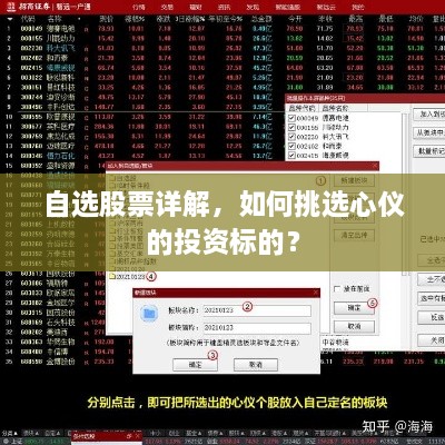 自選股票詳解，如何挑選心儀的投資標的？