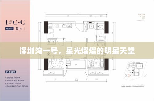 深圳灣一號，星光熠熠的明星天堂