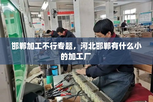 邯鄲加工不行專題，河北邯鄲有什么小的加工廠 