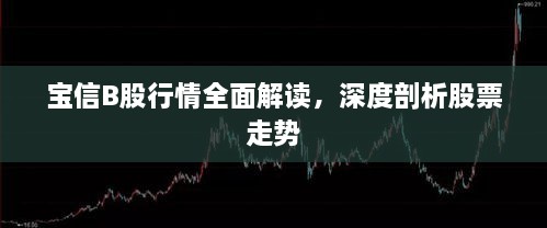 寶信B股行情全面解讀，深度剖析股票走勢(shì)