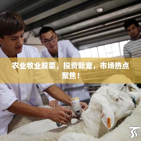 農(nóng)業(yè)牧業(yè)股票，投資新寵，市場熱點聚焦！