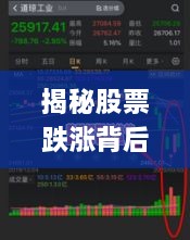 揭秘股票跌漲背后的風(fēng)險與策略，如何巧妙應(yīng)對股市波動？