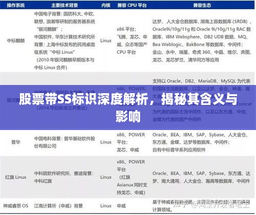股票帶SS標(biāo)識深度解析，揭秘其含義與影響