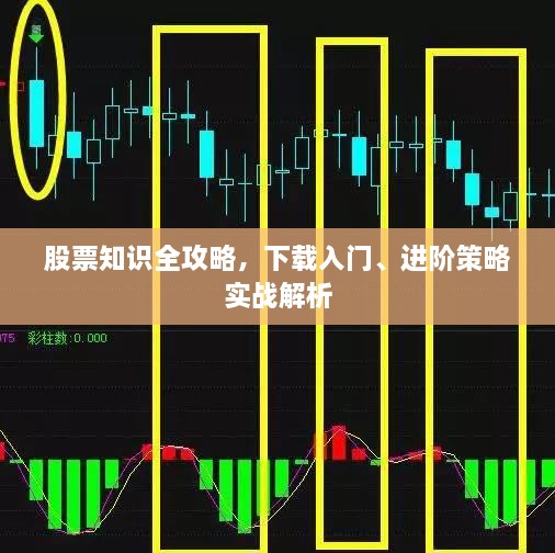 股票知識全攻略，下載入門、進(jìn)階策略實戰(zhàn)解析