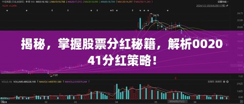 揭秘，掌握股票分紅秘籍，解析002041分紅策略！