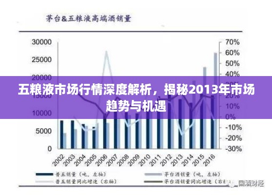 五糧液市場行情深度解析，揭秘2013年市場趨勢與機遇
