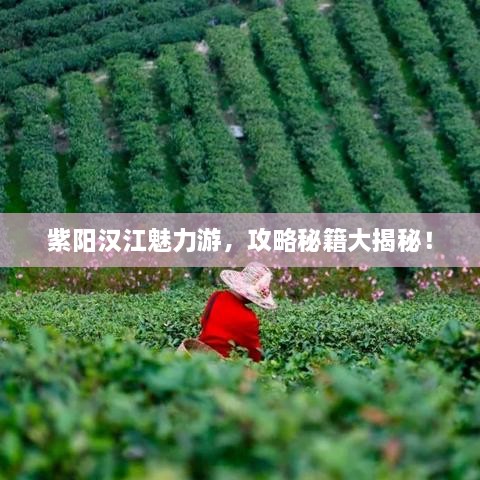 紫陽漢江魅力游，攻略秘籍大揭秘！