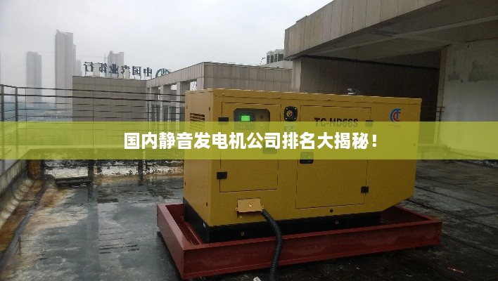 國內(nèi)靜音發(fā)電機(jī)公司排名大揭秘！