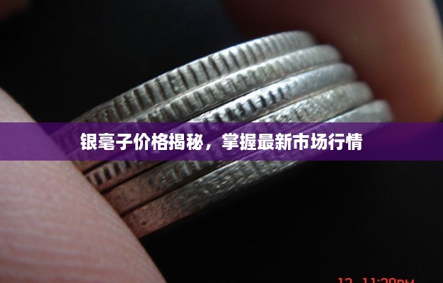 銀毫子價格揭秘，掌握最新市場行情