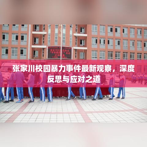 張家川校園暴力事件最新觀察，深度反思與應(yīng)對之道