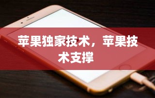 蘋果獨(dú)家技術(shù)，蘋果技術(shù)支撐 