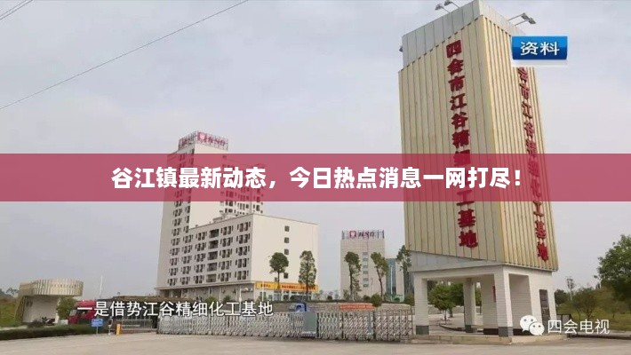 谷江鎮(zhèn)最新動態(tài)，今日熱點消息一網(wǎng)打盡！