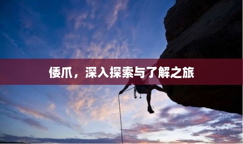 倭爪，深入探索與了解之旅