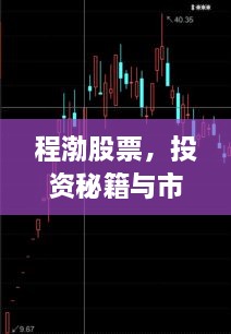 程渤股票，投資秘籍與市場(chǎng)深度洞察