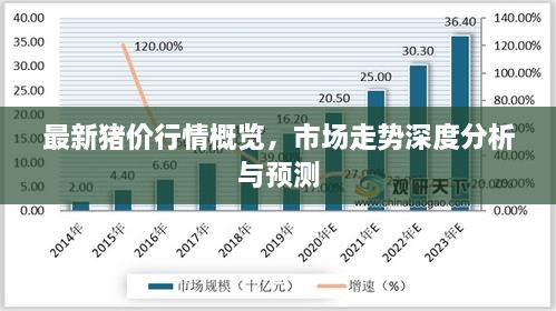 最新豬價(jià)行情概覽，市場(chǎng)走勢(shì)深度分析與預(yù)測(cè)