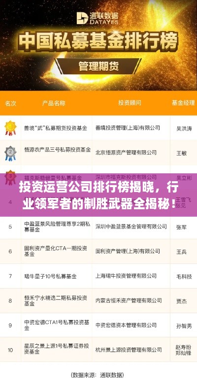 投資運(yùn)營公司排行榜揭曉，行業(yè)領(lǐng)軍者的制勝武器全揭秘！
