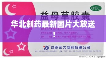 華北制藥最新圖片大放送！