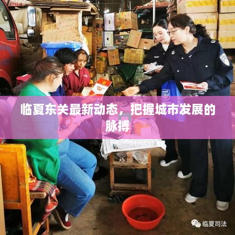 臨夏東關(guān)最新動態(tài)，把握城市發(fā)展的脈搏