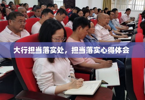 大行擔(dān)當(dāng)落實(shí)處，擔(dān)當(dāng)落實(shí)心得體會(huì) 