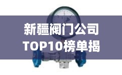 新疆閥門公司TOP10榜單揭曉，行業(yè)領(lǐng)軍者一覽無余