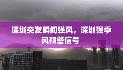 深圳突發(fā)瞬間強(qiáng)風(fēng)，深圳強(qiáng)季風(fēng)預(yù)警信號 