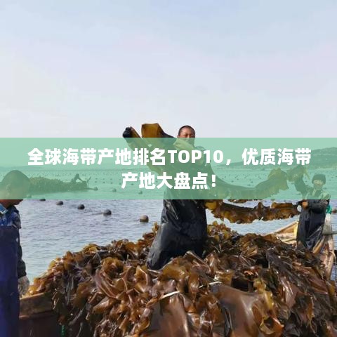 全球海帶產(chǎn)地排名TOP10，優(yōu)質(zhì)海帶產(chǎn)地大盤點(diǎn)！