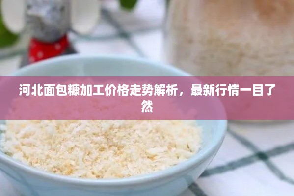 河北面包糠加工價(jià)格走勢解析，最新行情一目了然