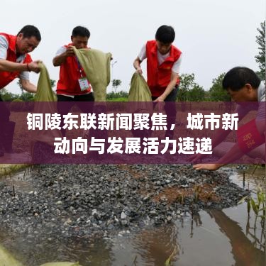 銅陵?yáng)|聯(lián)新聞聚焦，城市新動(dòng)向與發(fā)展活力速遞