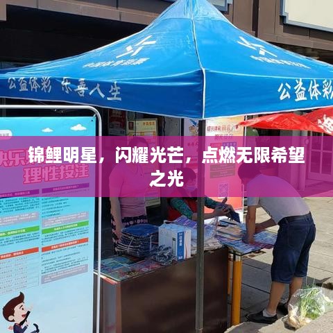錦鯉明星，閃耀光芒，點(diǎn)燃無限希望之光