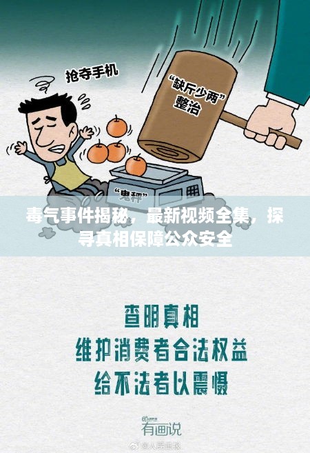 毒氣事件揭秘，最新視頻全集，探尋真相保障公眾安全