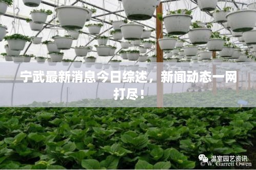 寧武最新消息今日綜述，新聞動(dòng)態(tài)一網(wǎng)打盡！