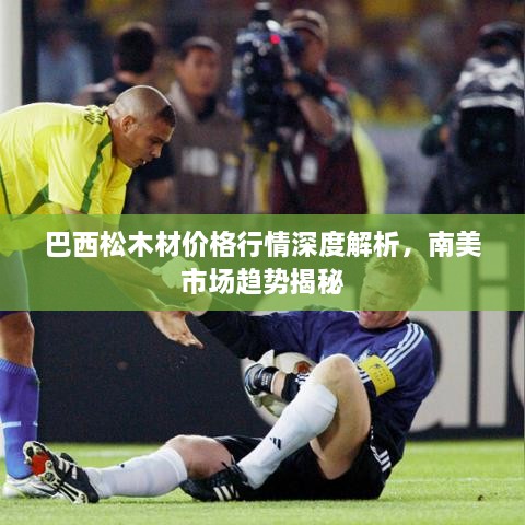 巴西松木材價格行情深度解析，南美市場趨勢揭秘