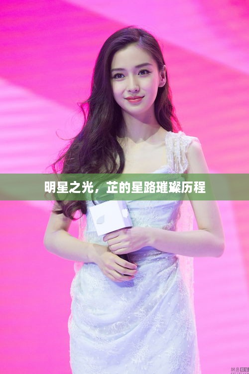 明星之光，芷的星路璀璨歷程