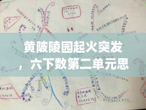 黃陂陵園起火突發(fā)，六下數(shù)第二單元思維導圖 