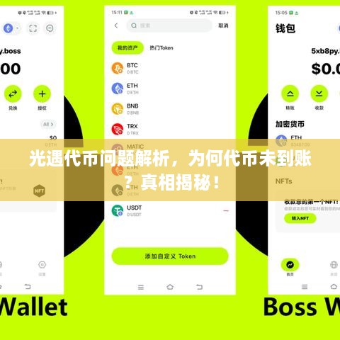 光遇代幣問(wèn)題解析，為何代幣未到賬？真相揭秘！
