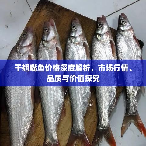 干翹嘴魚價格深度解析，市場行情、品質(zhì)與價值探究