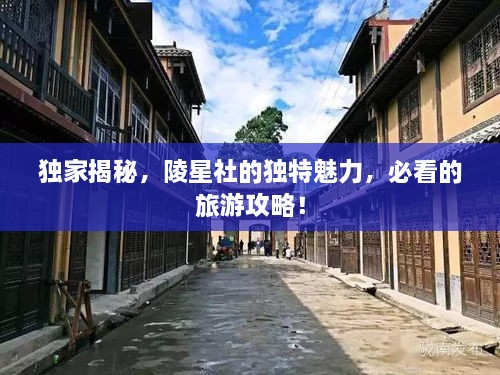 獨(dú)家揭秘，陵星社的獨(dú)特魅力，必看的旅游攻略！