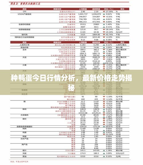 種鴨蛋今日行情分析，最新價格走勢揭秘