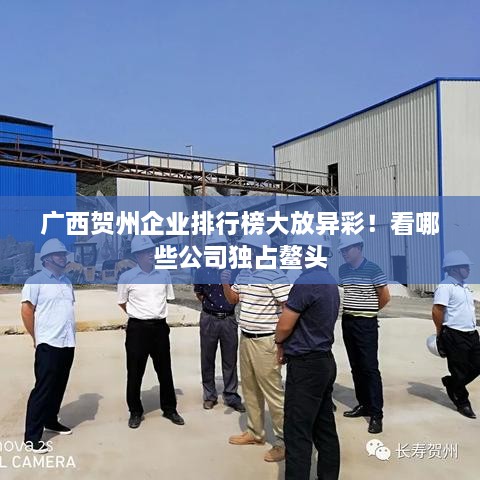 廣西賀州企業(yè)排行榜大放異彩！看哪些公司獨(dú)占鰲頭