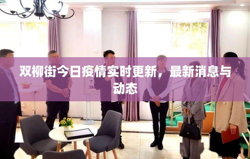 雙柳街今日疫情實時更新，最新消息與動態(tài)