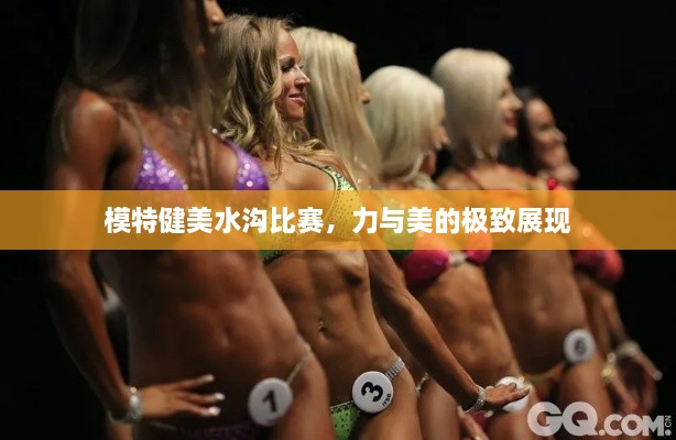 模特健美水溝比賽，力與美的極致展現(xiàn)