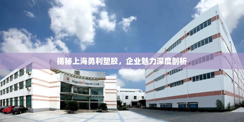 揭秘上海勇利塑膠，企業(yè)魅力深度剖析