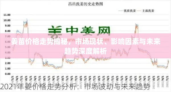 姜苗價(jià)格走勢(shì)揭秘，市場(chǎng)現(xiàn)狀、影響因素與未來趨勢(shì)深度解析