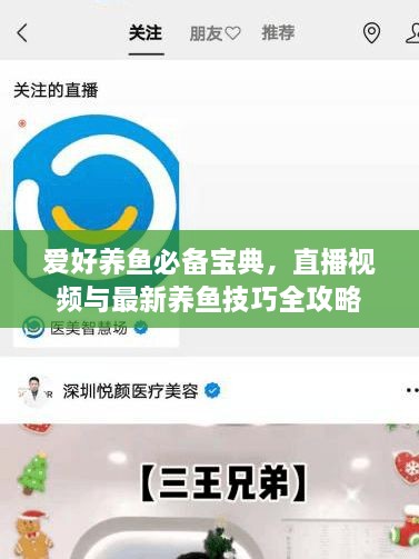 愛好養(yǎng)魚必備寶典，直播視頻與最新養(yǎng)魚技巧全攻略