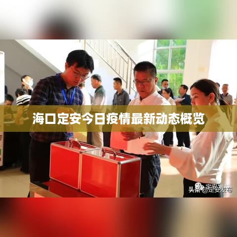 ?？诙ò步袢找咔樽钚聞討B(tài)概覽